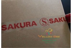032 - BK Sakura